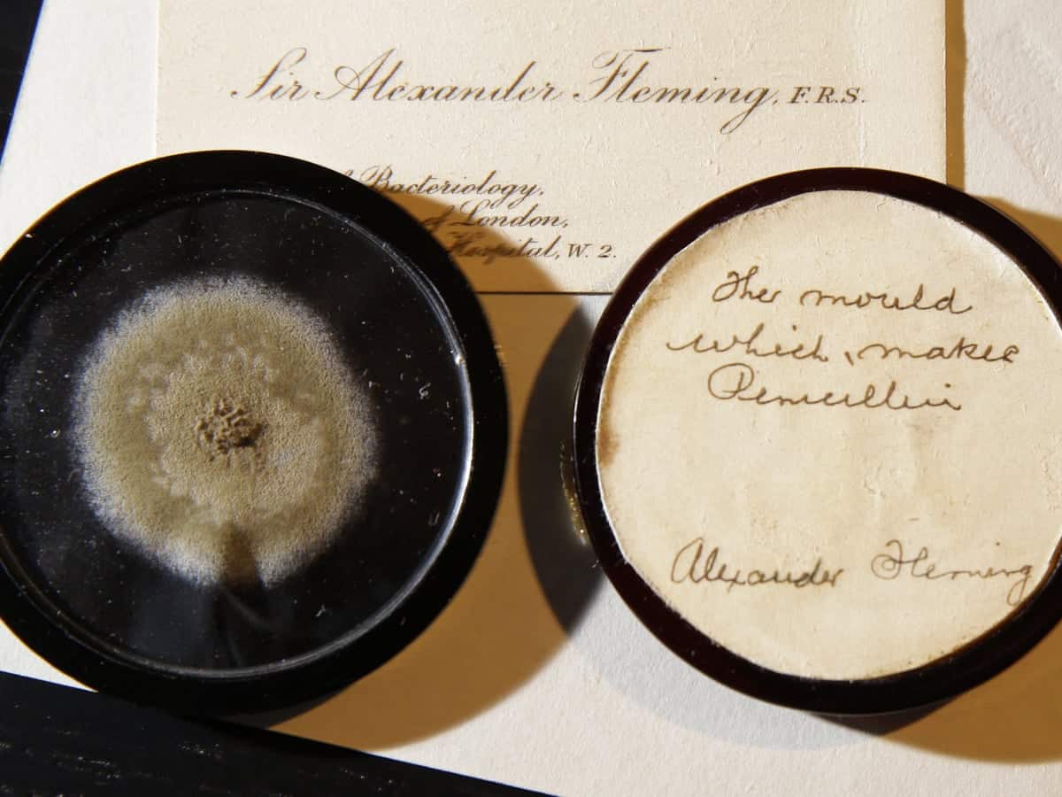 Why Antibiotic Resistance is a Big Deal And How You Can Help