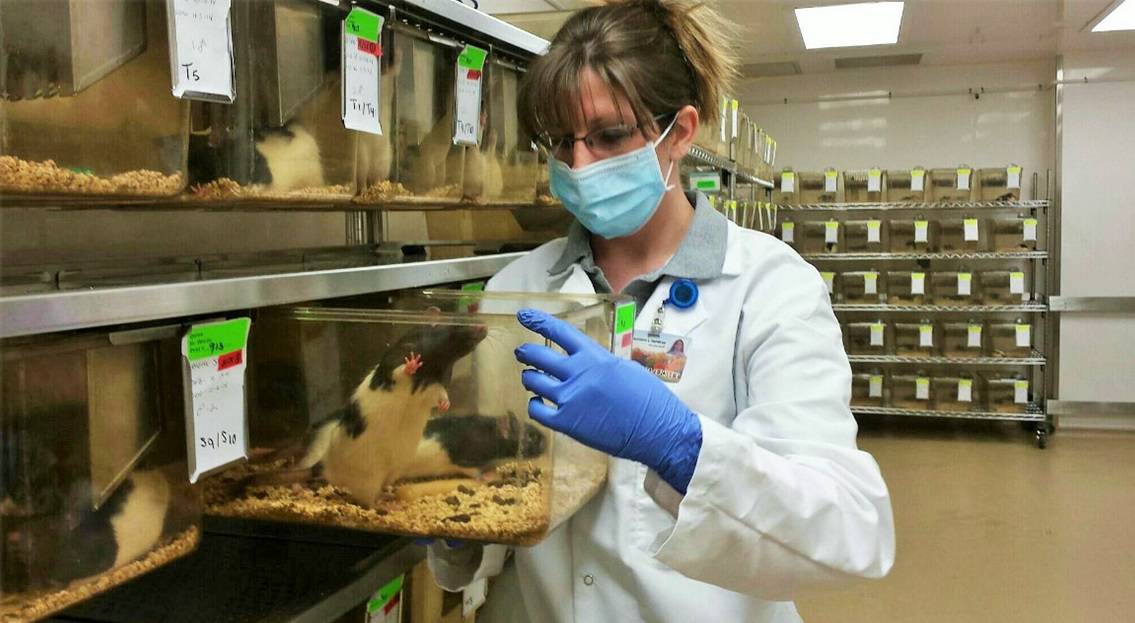 Animal Experimentation in Research Ethical or Not? Lavender + Lab Coats