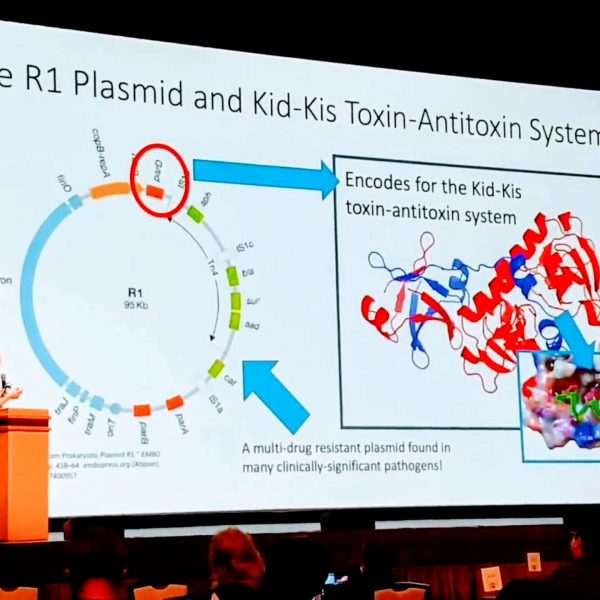 Conference Presentation