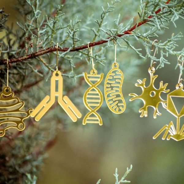 10 STEM Gifts for Teachers & Friends Under $50