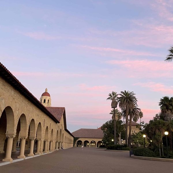 Are Ivy League and Top Schools Worth It?